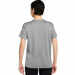 dri-fit rlgnd tee w